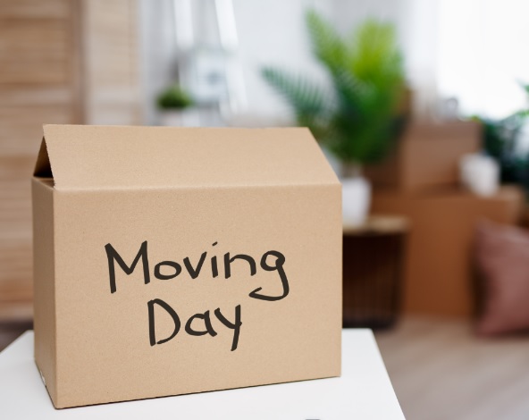 seo for movers